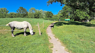 Photo n°27 de Camping Le Hameau des Champs à Cormatin ()