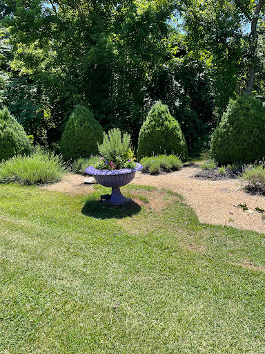 Farm «Blooming Hill Lavender Farm», reviews and photos, 19929 Telegraph Springs Rd, Purcellville, VA 20132, USA