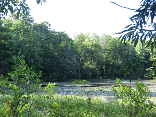 Nature Preserve «Greenbrook Nature Sanctuary», reviews and photos, Green Brook Rd, Tenafly, NJ 07670, USA