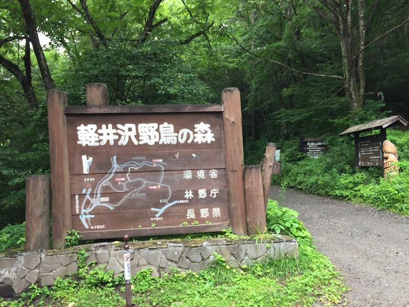 軽井沢野鳥の森