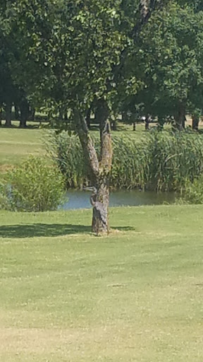 Golf Course «South Lakes Golf Course», reviews and photos, 9253 S Elwood Ave, Jenks, OK 74037, USA