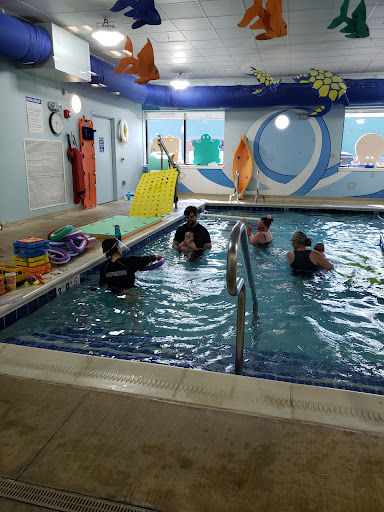 Little Flippers Swim School