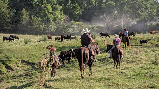 Live Music Venue «Codfish Hollow Barnstormers», reviews and photos, 5013 288th Ave, Maquoketa, IA 52060, USA