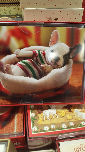 Book Store «Barnes & Noble», reviews and photos, 100 W Bridge St, Homestead, PA 15120, USA