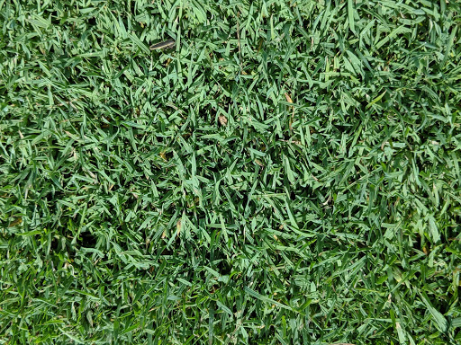 Public Golf Course «Angels Crossing Golf Club», reviews and photos, 3600 E W Ave, Vicksburg, MI 49097, USA