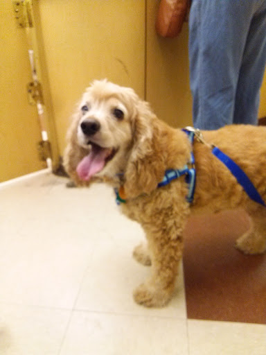 Pet Supply Store «PetSmart», reviews and photos, 5435 W TX-1604 Loop N, San Antonio, TX 78253, USA