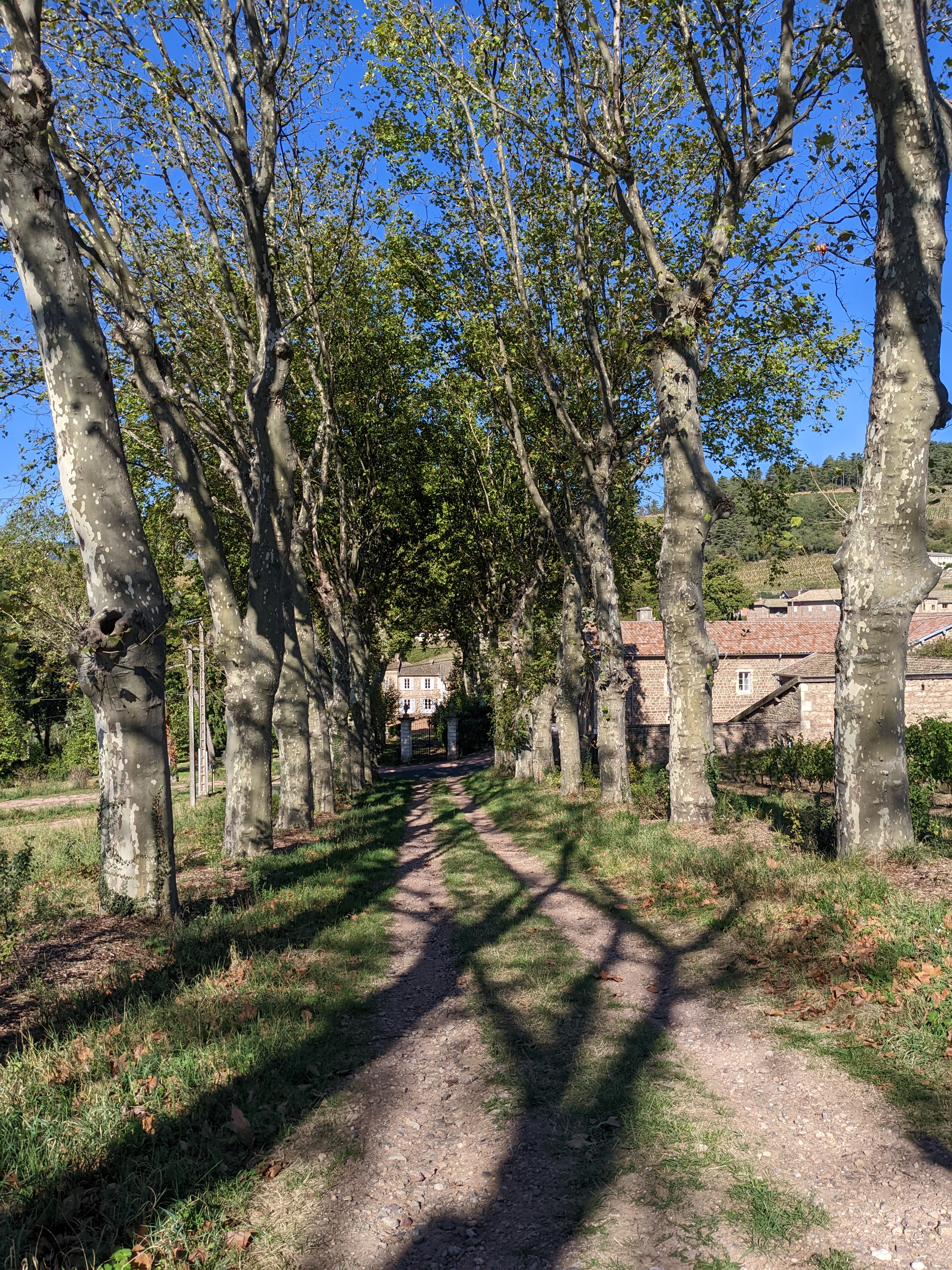 Photo n° 3 de l'avis de Nicholas.o fait le 05/10/2022 à 20:15