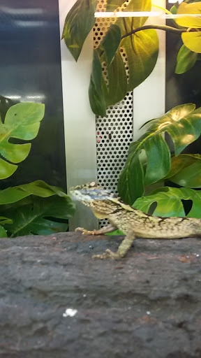 Pet Supply Store «Petco Animal Supplies», reviews and photos, 2541 NW Arterial, Dubuque, IA 52002, USA