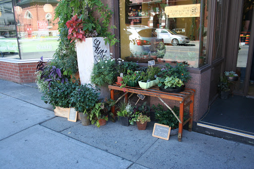Bel Fiore Flower Shop, Downtown Ottawa