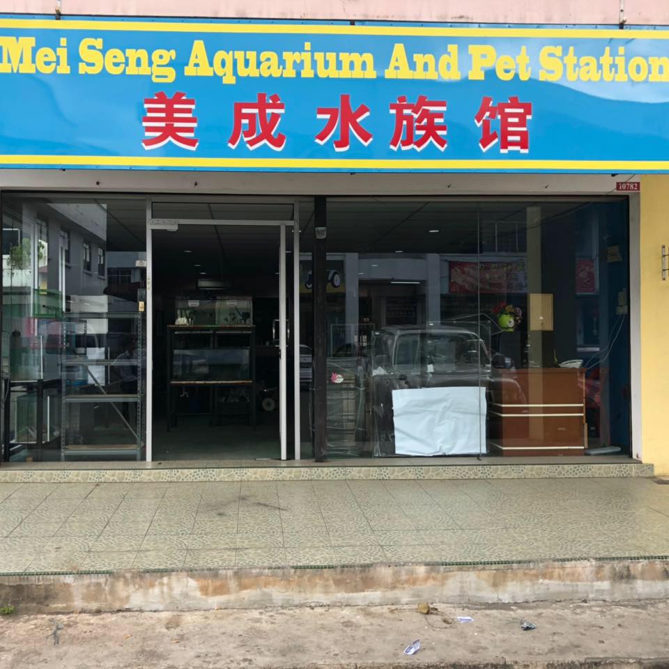Mei Seng Aquarium & Pets Station