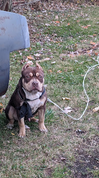 Ye Olde Clippe Shoppe - Photo 9 - Car repair in Akron, OH, Akron