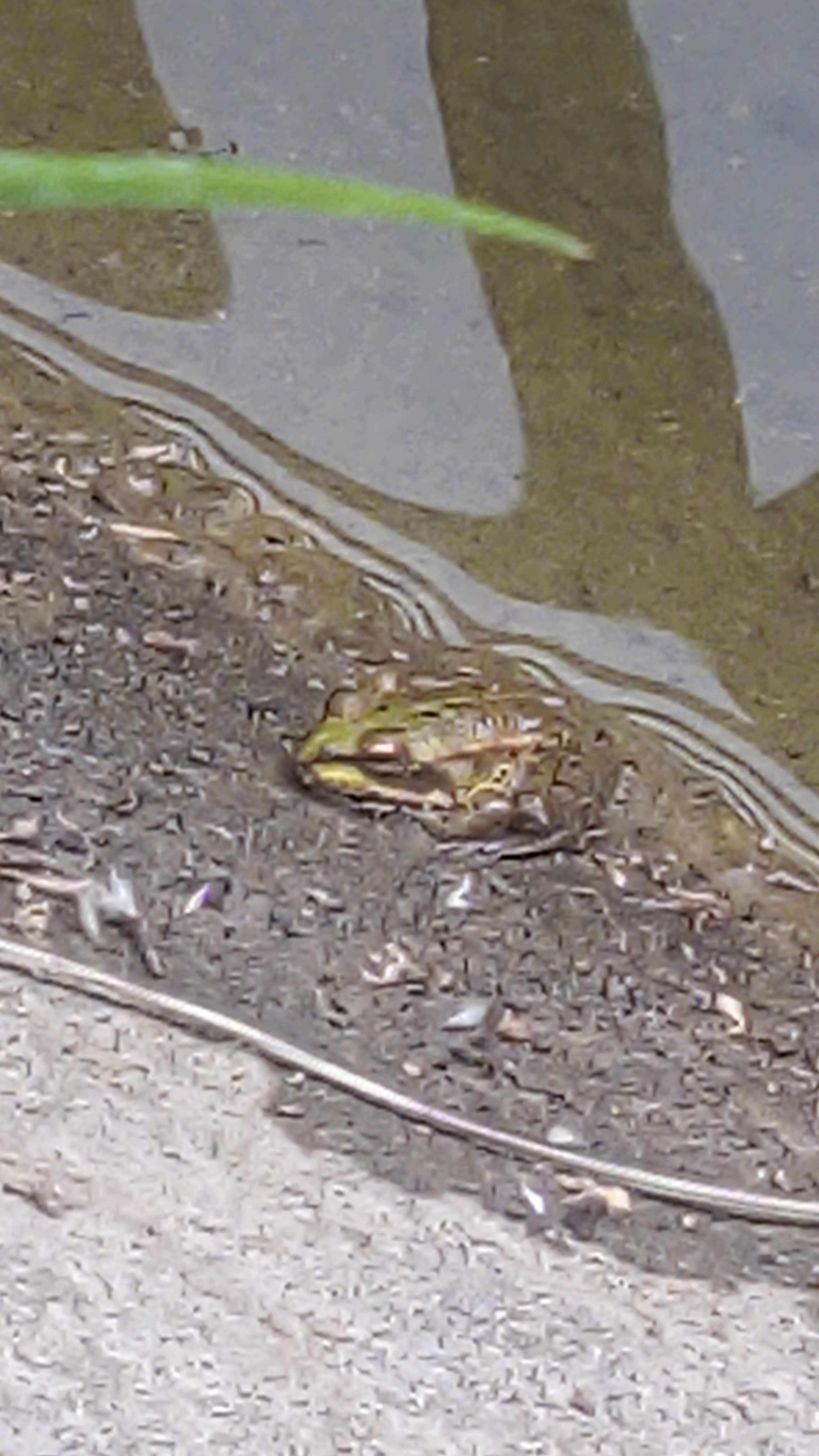 Photo n° 1 de l'avis de rémy.� fait le 15/05/2022 à 19:01