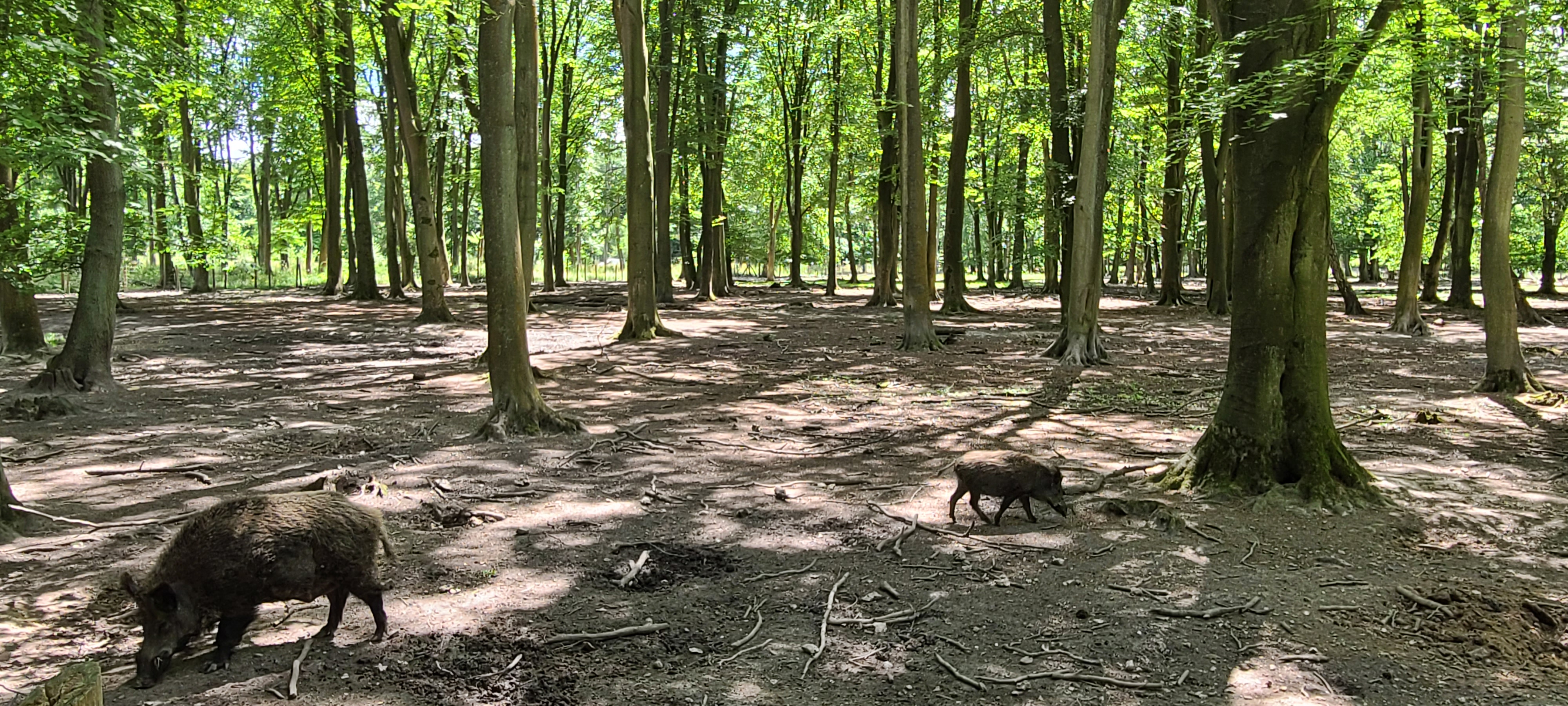 Photo n° 5 de l'avis de Pierre.o fait le 03/07/2022 à 19:43