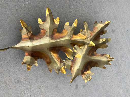 Thrift Store «Needful Things Thrift», reviews and photos, 4772 State St, Murray, UT 84107, USA