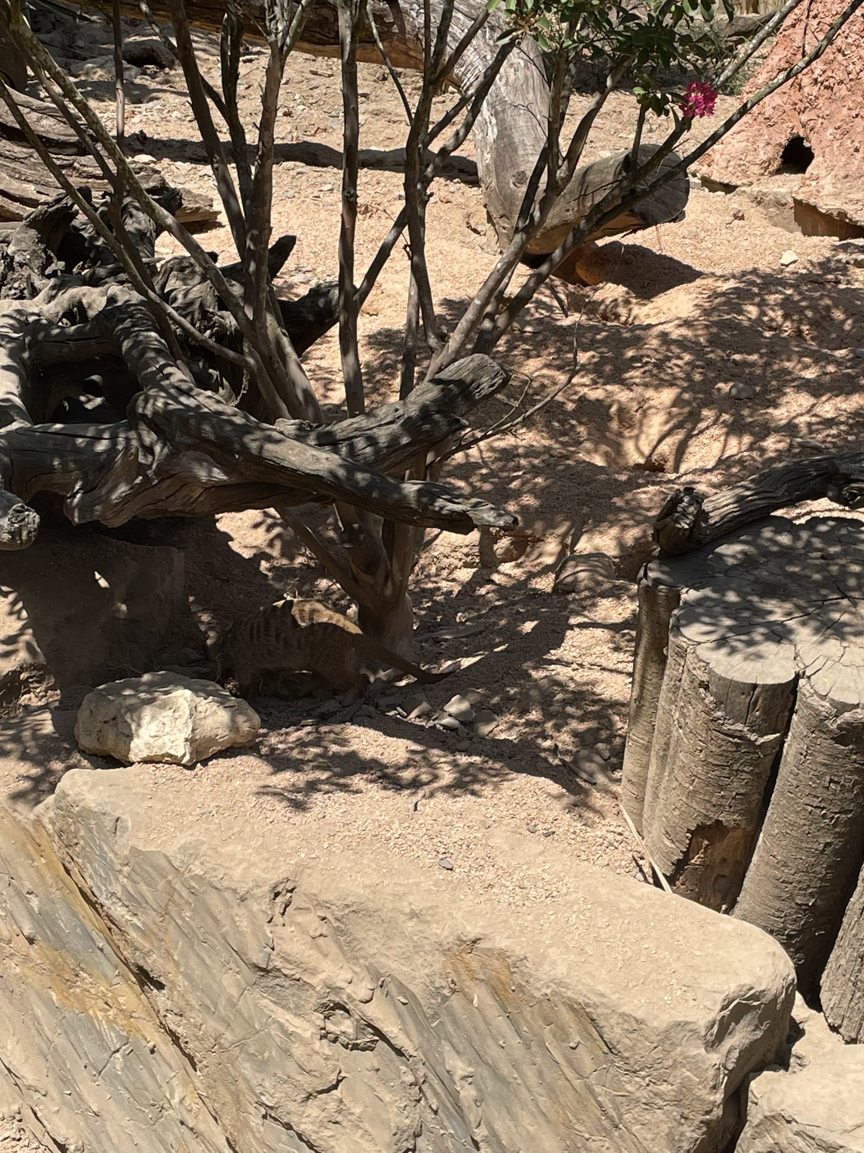 Photo n° 27 de l'avis de Gregory.G fait le 01/08/2022 à 10:31