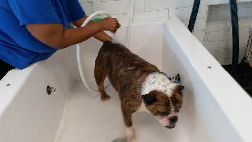 Pet Supply Store «PetSmart», reviews and photos, 529 Atlantic Ave, Oceanside, NY 11572, USA