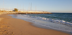 Photo de Platja Del Masnou zone sauvage