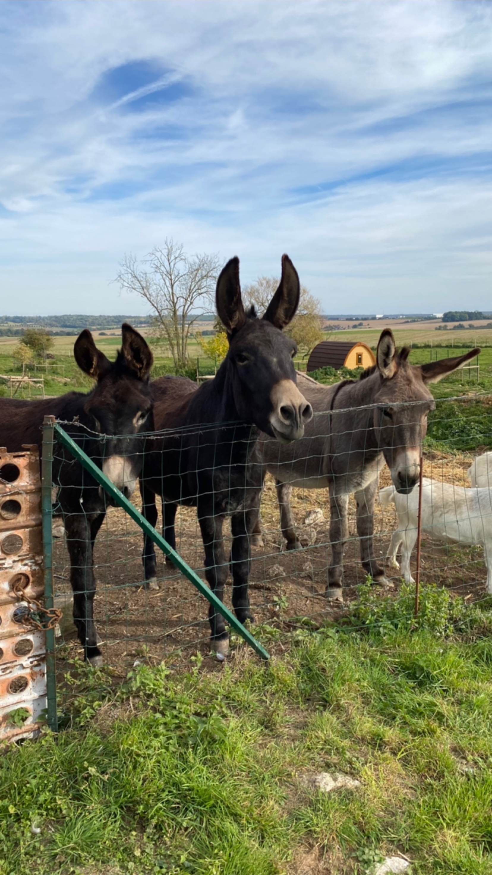 Photo n° 5 de l'avis de Jessica. fait le 24/10/2021 à 21:07