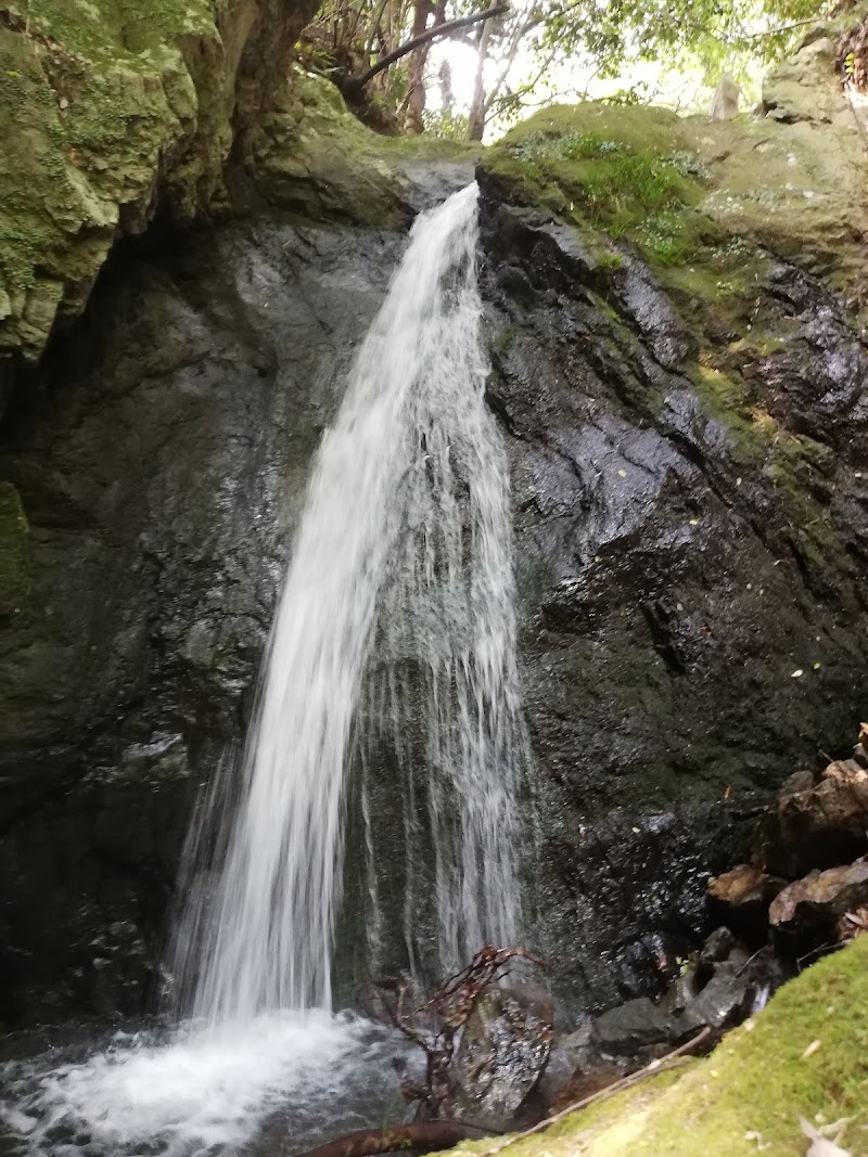 嵯峨の滝