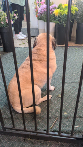 Florist «Koch Florist & Gifts», reviews and photos, 1870 NJ-35, Middletown, NJ 07748, USA