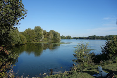 Réserve Naturelle du Lac du Héron à Villeneuve-d'Ascq