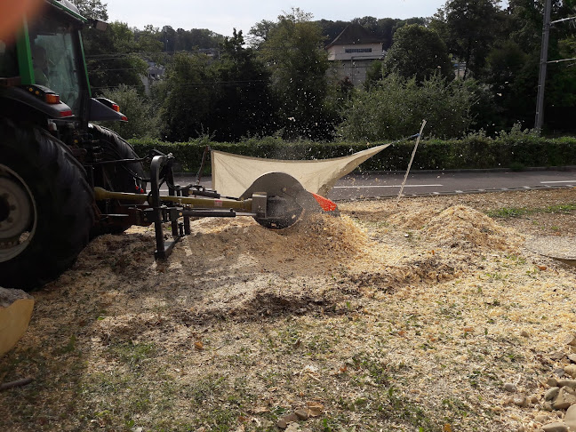 Gebr. Pfäffli Landschaft + Garten GmbH - Gartenbauer