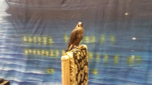 Event Venue «Viridian Event Center», reviews and photos, 8030 S 1825 W, West Jordan, UT 84088, USA