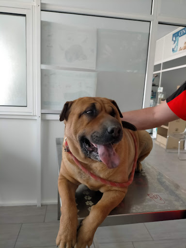 Centro Veterinario Manuel Palomo en Benamejí