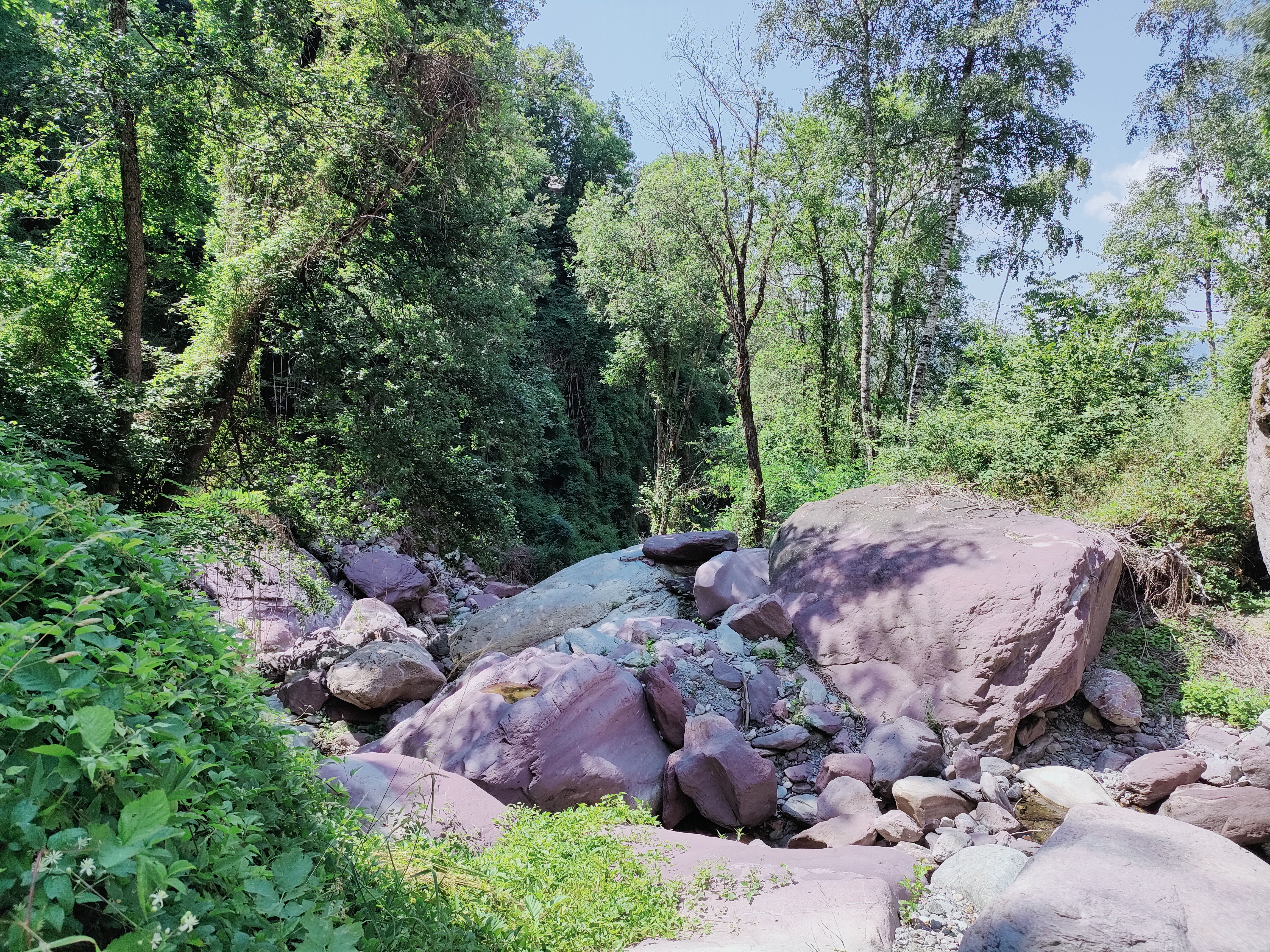 Photo n° 1 de l'avis de Ophélia.a fait le 27/07/2022 à 19:16
