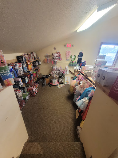 Toy Store «Goose Gang Toys», reviews and photos, 342 3rd Ave SE, Perham, MN 56573, USA