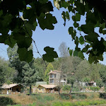 Photo n°1 de l'avis de LandsdSever.s fait le 08/09/2021 à 21:03 sur le  Quinta do Rio Alva and Glamping Lodges à Ronqueira