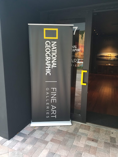 Art Gallery «National Geographic | Fine Art Galleries», reviews and photos, 607 E Las Olas Blvd, Fort Lauderdale, FL 33301, USA