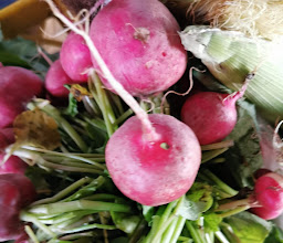 Tianguis Colonia Morelos photo