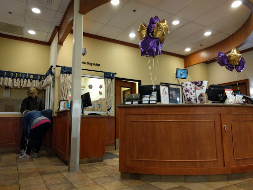 Pet Supply Store «PetSmart», reviews and photos, 1700 Fruitville Pike, Lancaster, PA 17601, USA