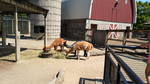 Zoo «Potter Park Zoo», reviews and photos, 1301 S Pennsylvania Ave, Lansing, MI 48912, USA