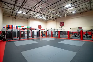 Millennia MMA Gym image