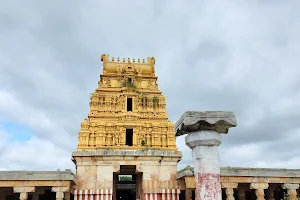 Ancient Shri Virupaksha Devalaya image