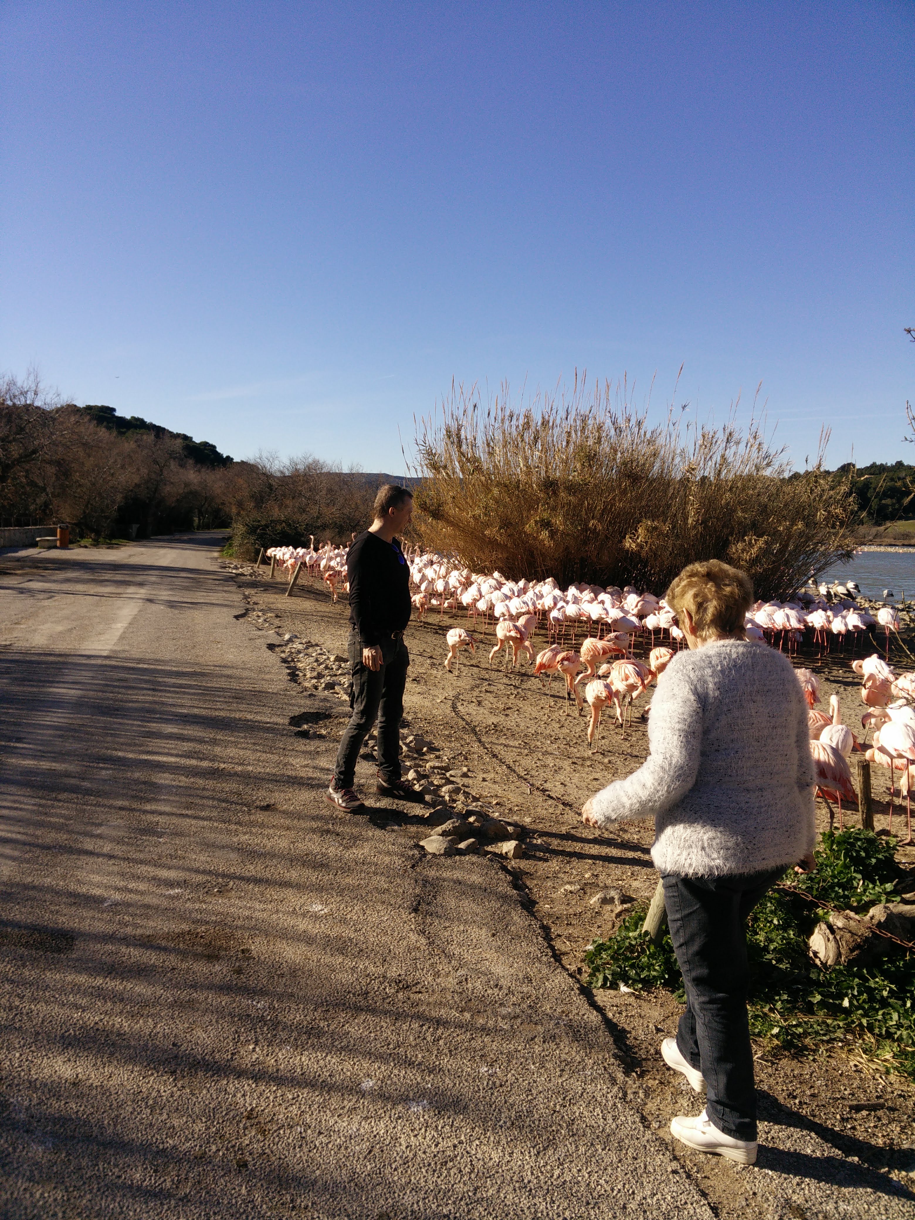 Photo n° 4 de l'avis de bruno.r fait le 10/02/2019 à 17:38