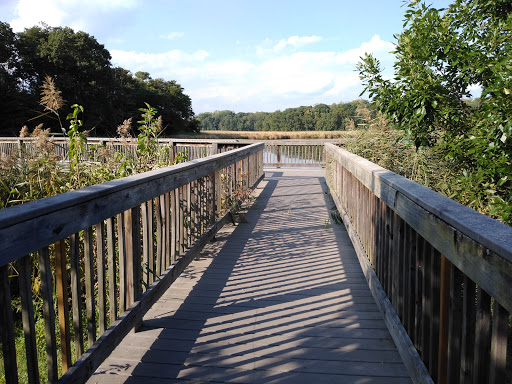 Tourist Attraction «Wetlands overlook park», reviews and photos, 4020 11th St, North Beach, MD 20714, USA