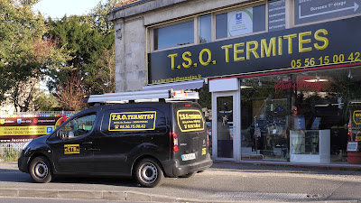 TSO Termites à Pessac