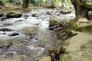 Sungai Congkak Recreational Forest image