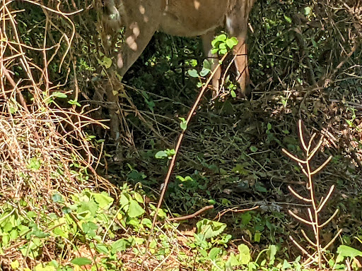 Park «Caumsett State Park», reviews and photos, 25 Lloyd Harbor Rd, Lloyd Harbor, NY 11743, USA