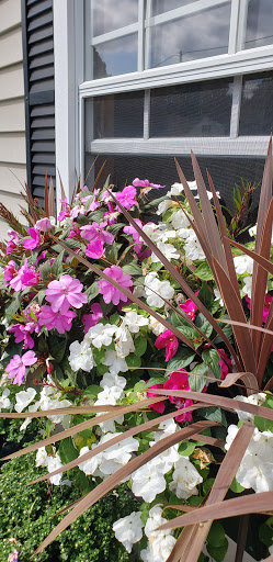 Florist «Colonial Gardens Full Service Florist & Garden Center», reviews and photos, 442 Fitchburg Turnpike, Concord, MA 01742, USA