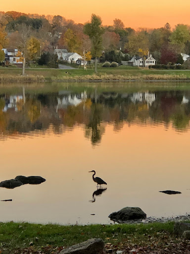 Arts Organization «Arts on the Lake», reviews and photos, 640 NY-52, Carmel, NY 10512, USA