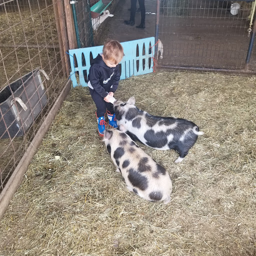 Barnyard Petting Zoo image 6