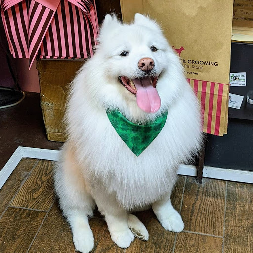 Pet Groomer «Woof Gang Bakery & Grooming Bridgewater», reviews and photos, 732 US-202 #130, Bridgewater, NJ 08807, USA