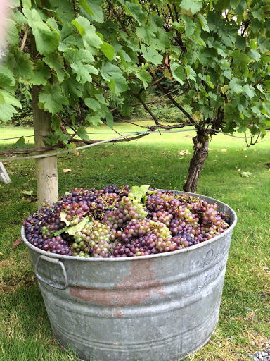 Wedding Venue «Green Gates At Flowing Lake», reviews and photos, 4919 175th Ave SE, Snohomish, WA 98290, USA