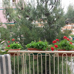 Photo n°1 de l'avis de Giuseppe.a fait le 07/07/2019 à 12:25 sur le  Bagno 27 à Barletta