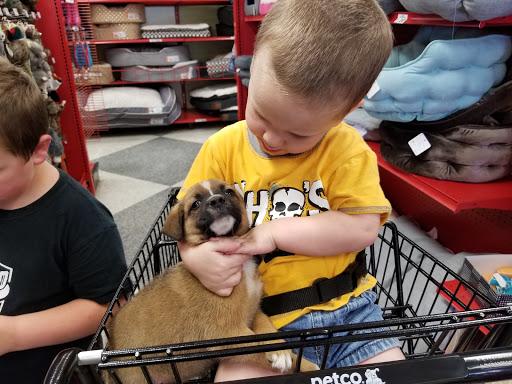 Pet Supply Store «Petco Animal Supplies», reviews and photos, 1450 Twixt Town Rd, Marion, IA 52302, USA
