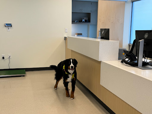 Wheat Ridge Veterinary Emergency Care Wash Park image